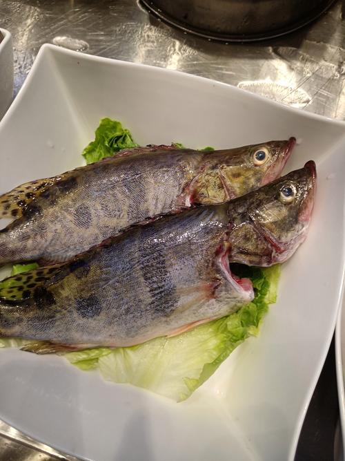 ?国内最好吃的十种鱼肉美食，你吃过几种？