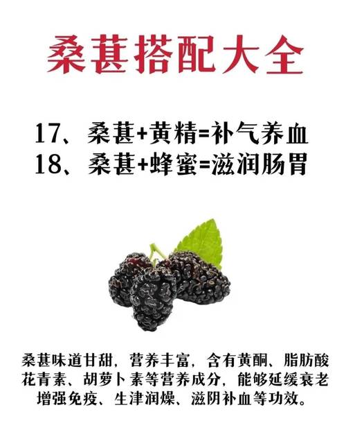 桑葚如何保存,才能长期享用这些美味?