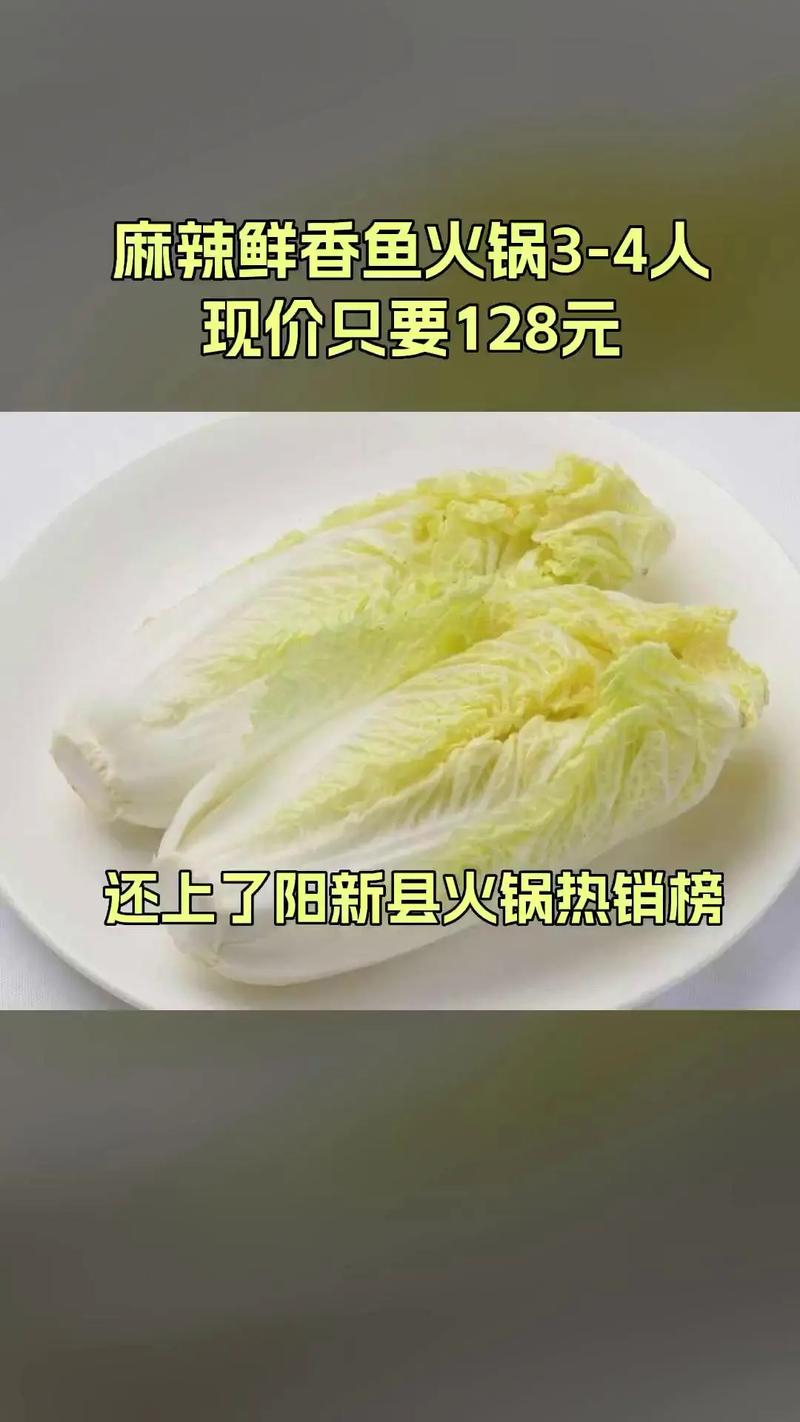 美食 第10页