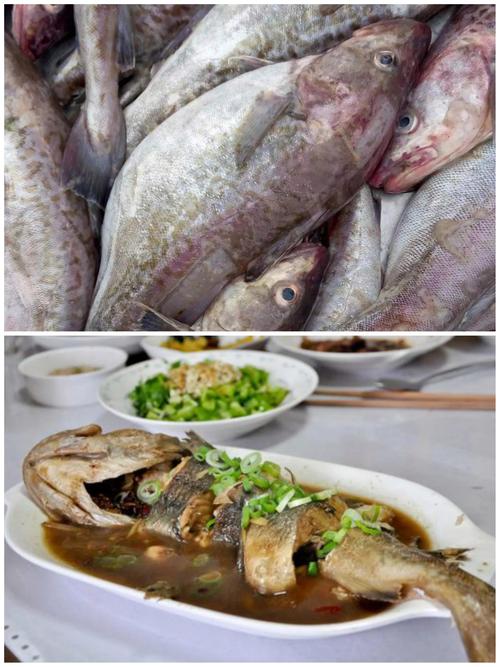 大连人常吃的特色海鱼，你能认识几个？