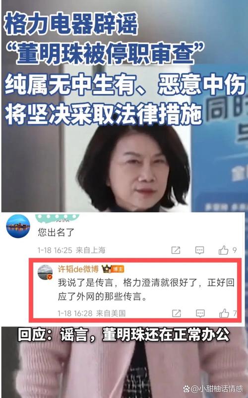 胡锡进称董明珠应对越线言论道歉