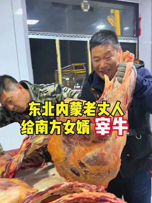 内蒙老丈人带南方女婿吃酸菜大骨头，一上菜傻眼了，这叫一份？