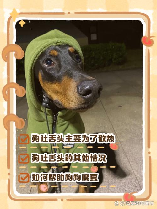美食 第9页