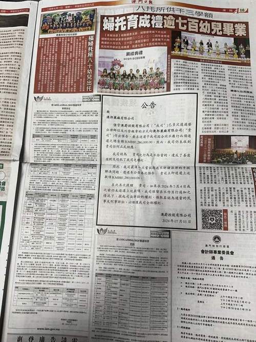 新澳门精准资料大全管家婆料-全面释义、专家解释与落实与警惕虚假宣传