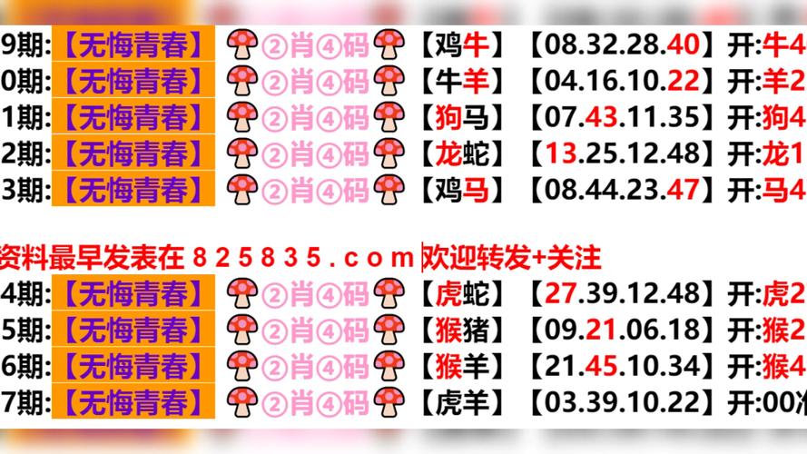 2024新澳门今晚开奖号码和香港一-全面释义、专家解释与落实与警惕虚假宣传