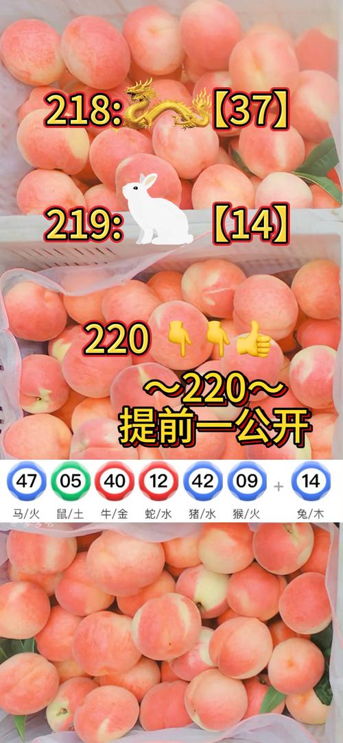 新澳门资料大全正版资料?奥利奥斗地主-全面释义、解释与落实与警惕虚假宣传