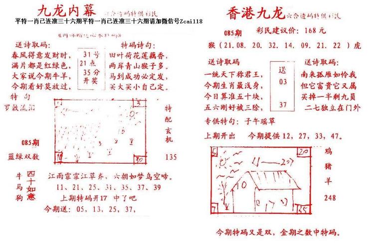 九龙图库2019正版资枓-全面释义、专家解释与落实与警惕虚假宣传