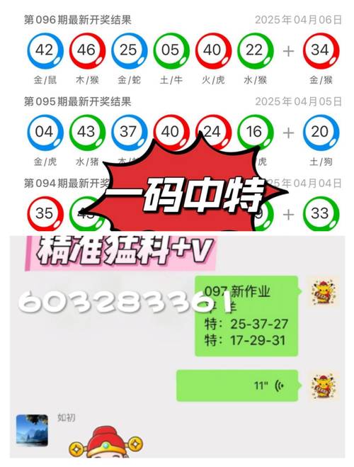 新澳门开奖号码开奖结果查询,全面释义、专家解释与落实与警惕虚假宣传