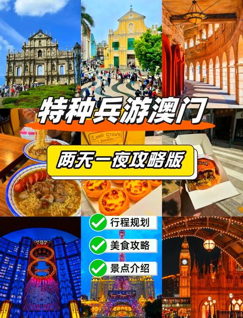 澳门最精准免费资料大全旅游景点021,全面释义、专家解释与落实与警惕虚假宣传