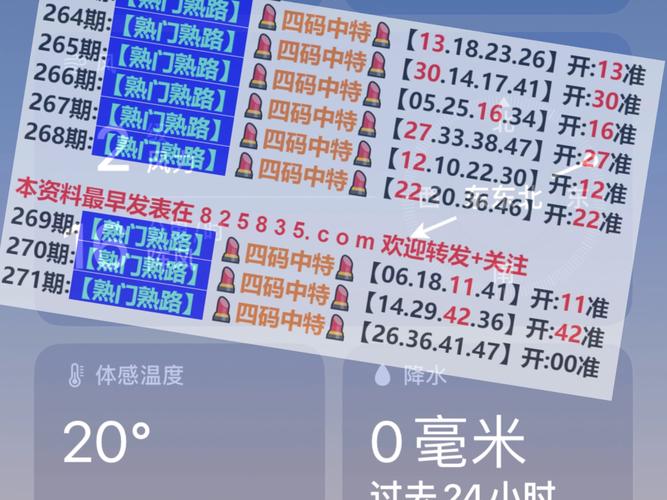 2024年新奥开奖结果查询,精选释义、解释与落实与警惕虚假宣传