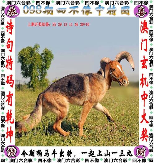 香港澳门资料大全 正版资料2023年合118文库,精选释义、解释与落实与警惕虚假宣传