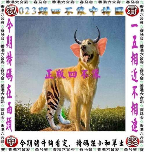4949澳门开奖特马53期-2025全面解析实用技巧分享