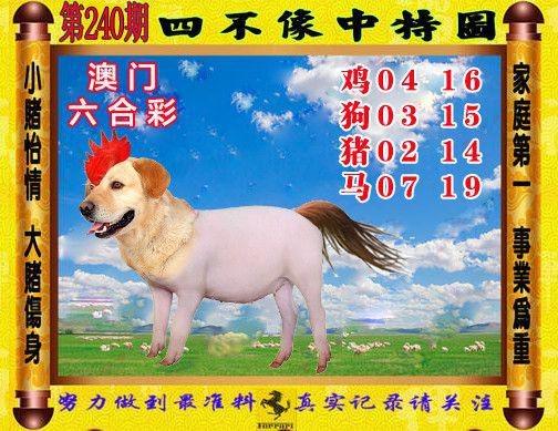 2024澳门资料大全免费完整版四不像,精选释义、解释与落实与警惕虚假宣传