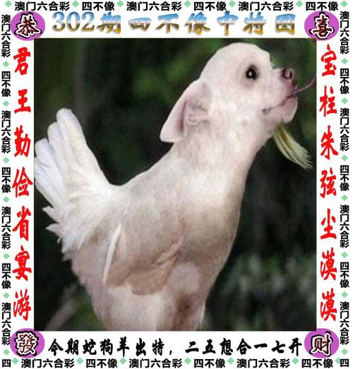 2025澳门正版资料免费大全精准四不像和7777788888王中王传真7全面释义、专家解释与落实与警惕虚假宣传