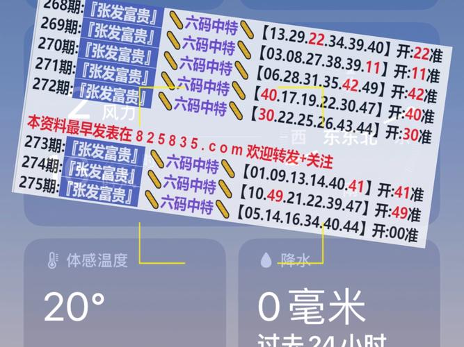 2025年5月15日 第7页