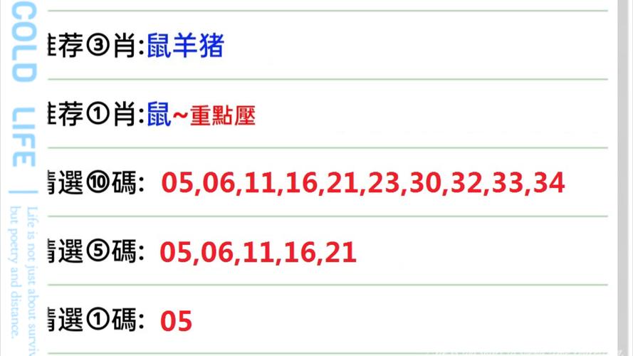 最准一肖一码100%免费公开253与2024年澳门正版资料大全免费慕楠宝宝全面释义、解释与落实与警惕虚假宣传