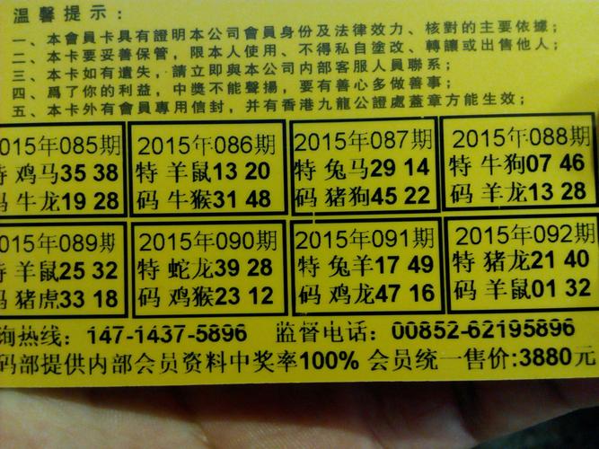 最准一肖一码100%免费公开开奖结果赵公明平与2024年澳门正版资料大全免费东方心经全面释义、解释与落实与警惕虚假宣传