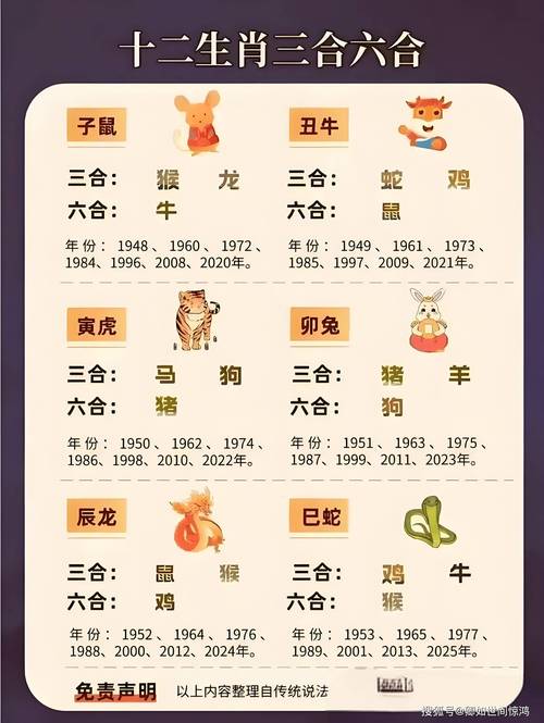 澳门必中一肖一码准一肖,开来在家是主人,2025全面解析实用技巧分享