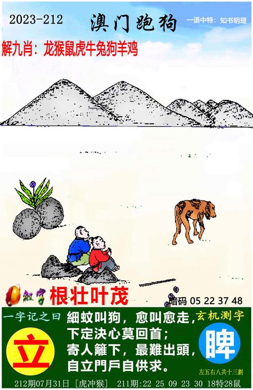 澳门精准一码必中期期大全,2025全面解析实用技巧分享