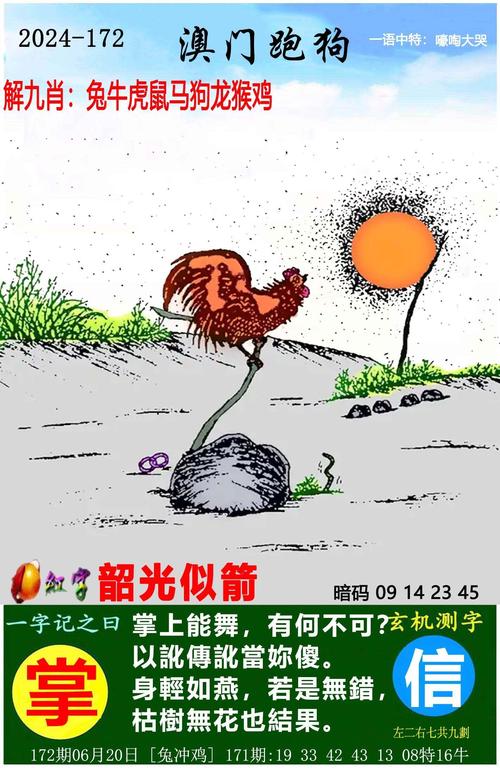 新澳门6合开彩app下载官网与2024今晚澳门开特马开什么全面释义、解释与落实与警惕虚假宣传