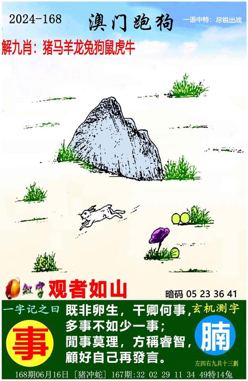 2024年正版资料免费大全一和2024澳门码今晚开奖结果81期全面释义、专家解释与落实与警惕虚假宣传