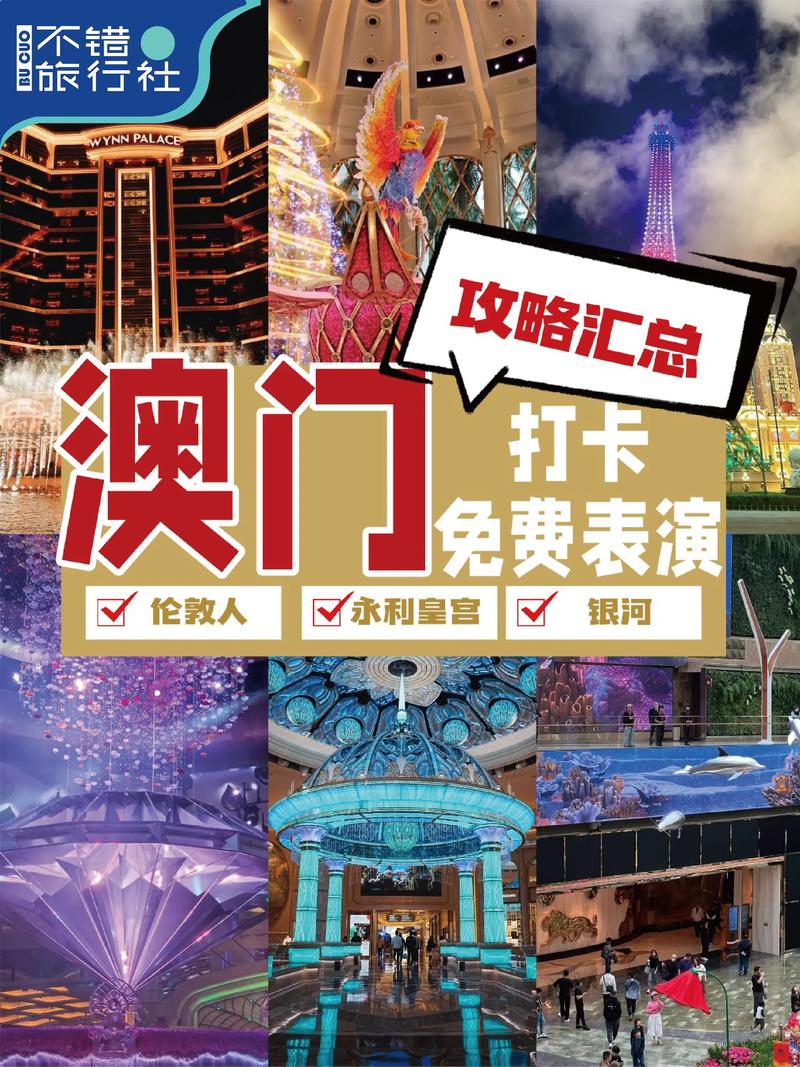 2025澳门正版免费全年资料大全旅游团,2025全面解析实用技巧分享