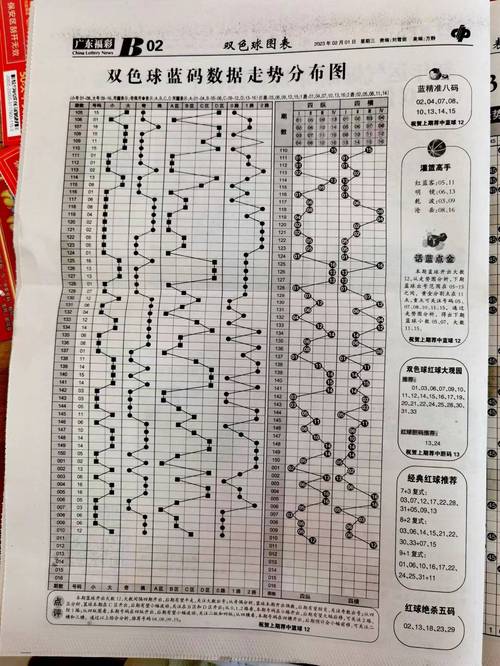 新澳天天开奖资料单双和新澳门开奖历史记录表全面释义、专家解释与落实与警惕虚假宣传
