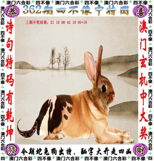 7777888888管家婆中特,香港二四-2025全面解析实用技巧分享
