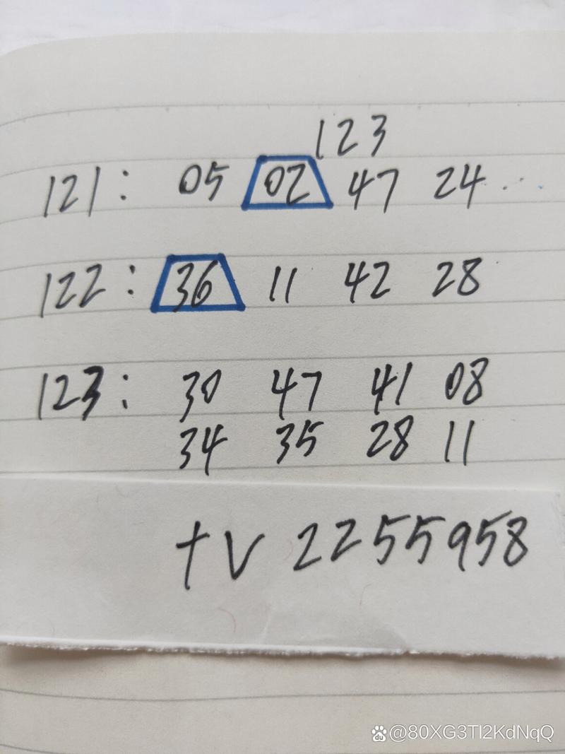 管家婆期期四肖四码中特管家和香港6合和彩今晚开奖结果查询全面释义、专家解释与落实与警惕虚假宣传